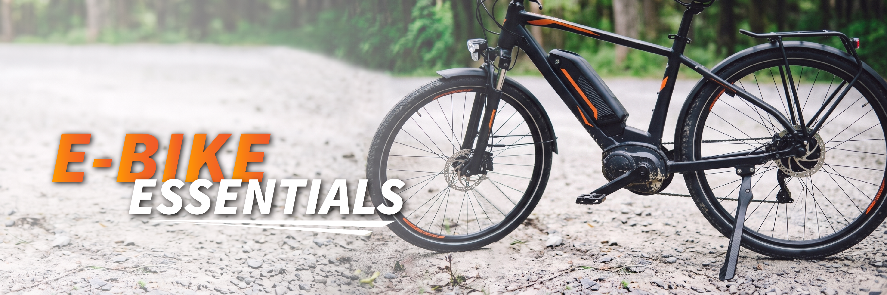 E-Bike Essentials