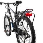 Back View on Bike