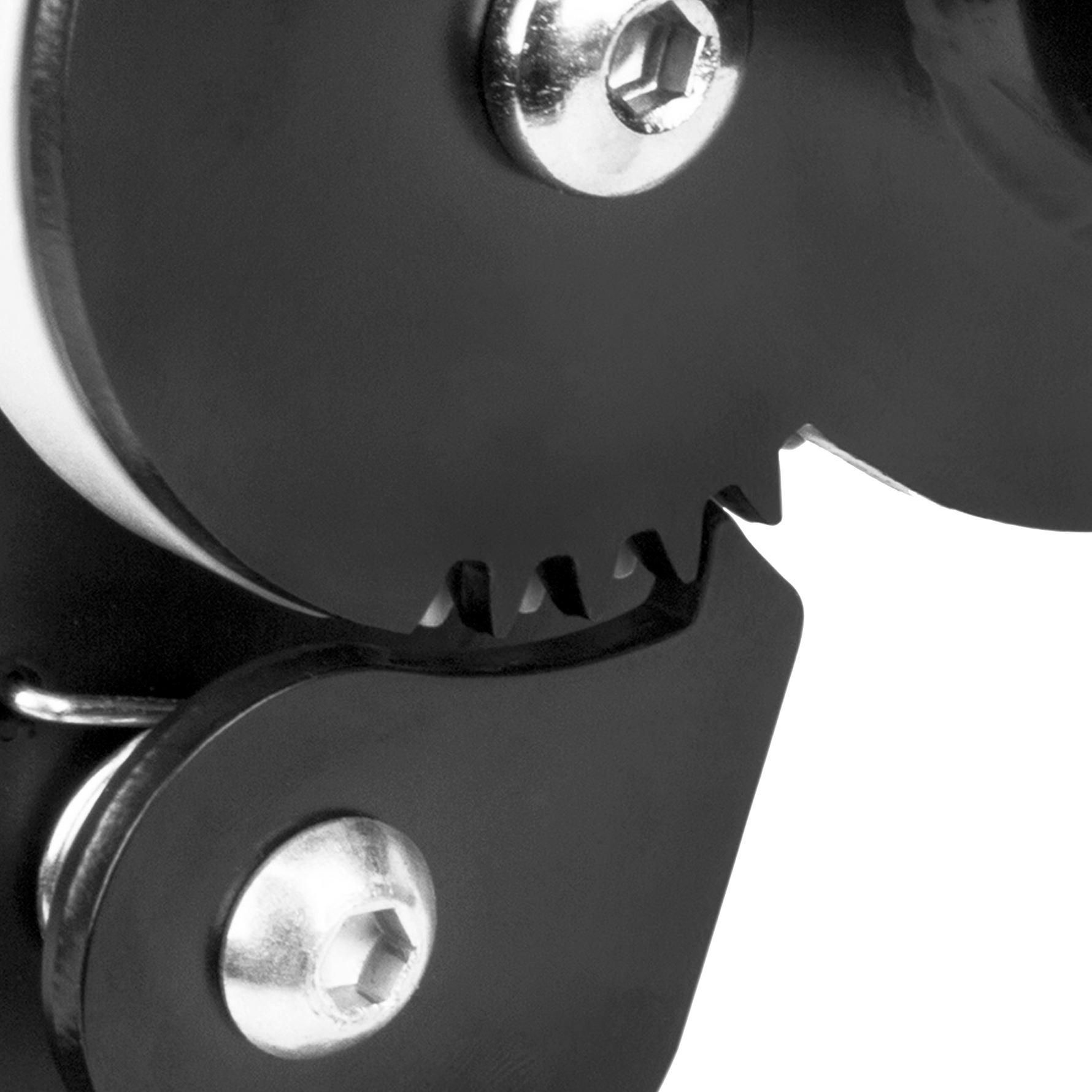 Close Up View